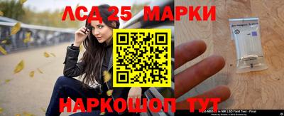 винт Краснодар