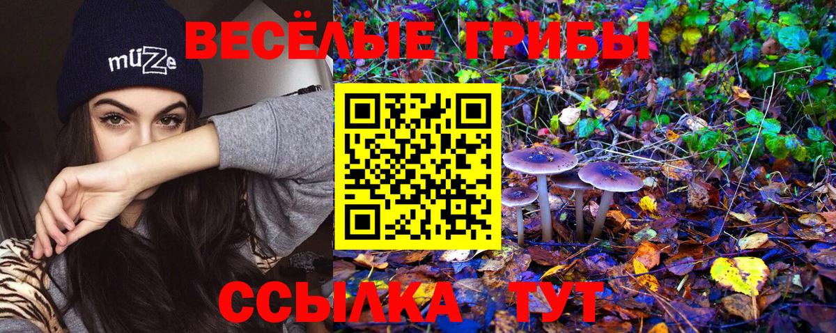 Карпинск  Псилоцибиновые грибы мухоморы  Вход с VPN 