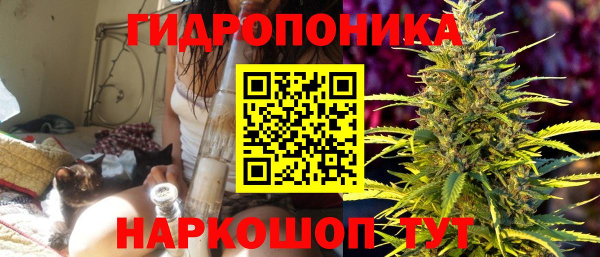 Конопля OG Kush Карпинск